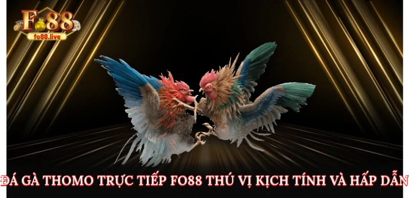 Đá Gà Trực tiếp Thomo fo88 - Thú vị và Hấp dẫn