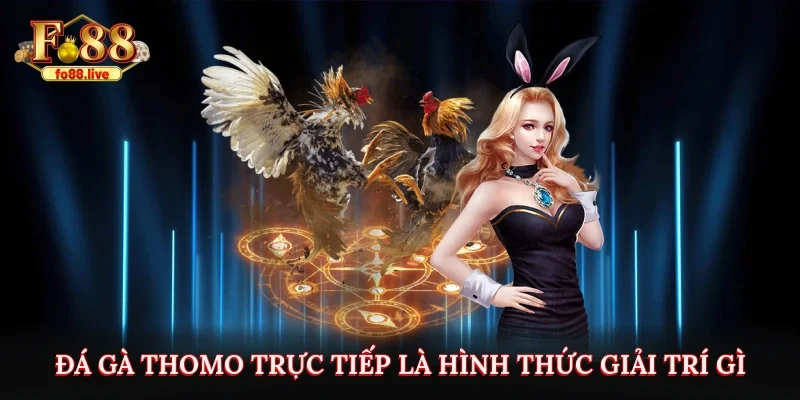 Đá gà Thomo trực tiếp là hình thức giải trí gì?