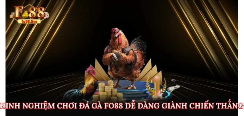 Kinh nghiệm chơi đá gà Fo88 dễ dàng giành chiến thắng
